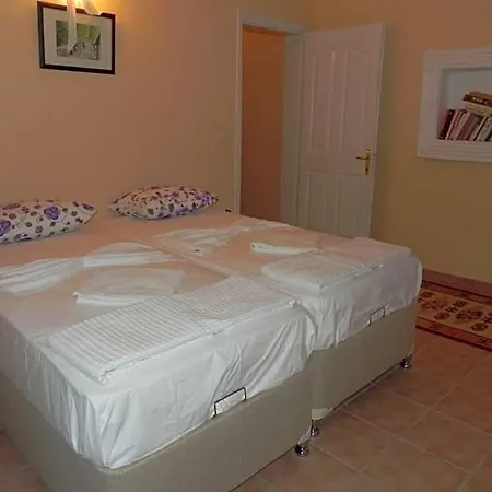 Villa Sleeps 11 Pool Air Con Wifi Dalyan